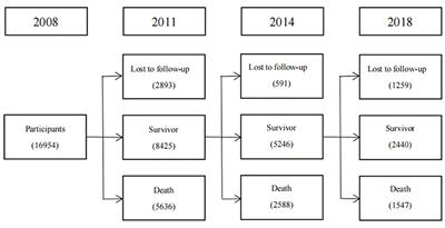 Association between nut consumption and mortality among Chinese older people: A national cohort study based on CLHLS from 2008 to 2018